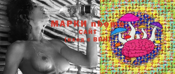 шишки Белокуриха