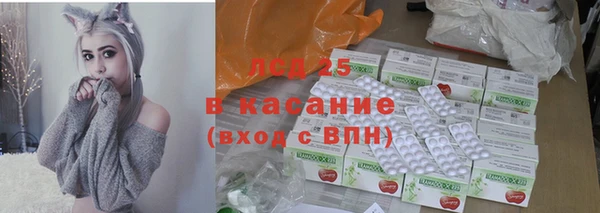 шишки Белокуриха