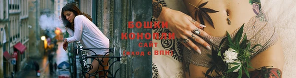шишки Белокуриха