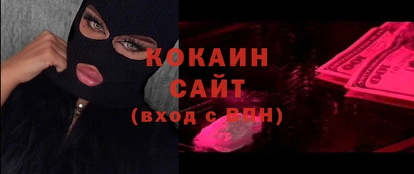 шишки Белокуриха