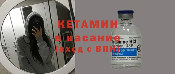 шишки Белокуриха