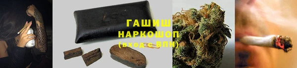 шишки Белокуриха