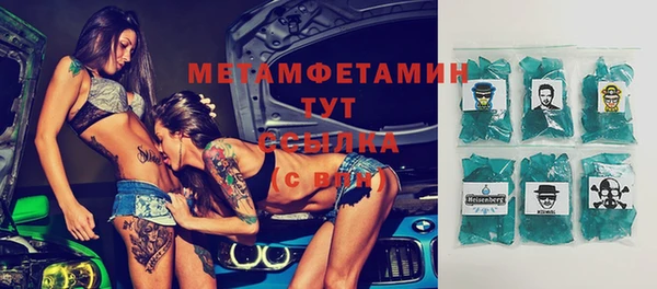 шишки Белокуриха