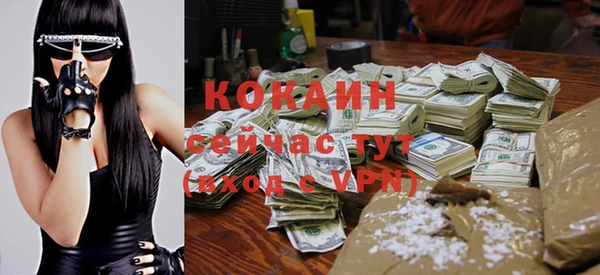 шишки Белокуриха