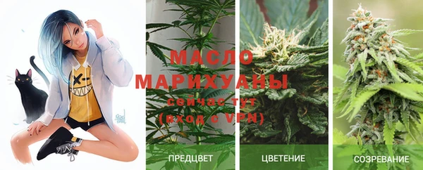 шишки Белокуриха