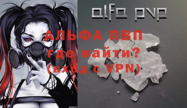 шишки Белокуриха