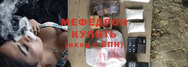 шишки Белокуриха
