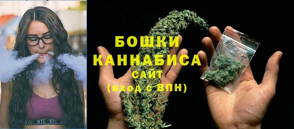шишки Белокуриха
