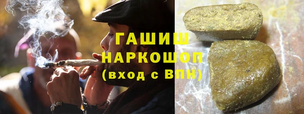 шишки Белокуриха